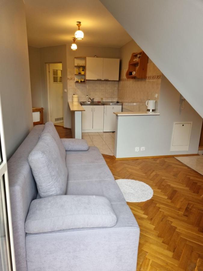 Apartament Droga Na Bystre 9A Zakopane Eksteriør bilde